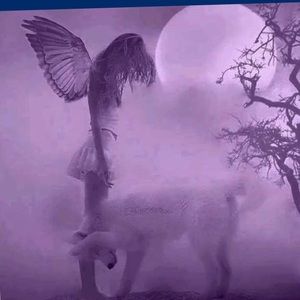 Meet your Posher, Avery